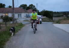 Vendredi 03/05/24 20h-2h (40/401)